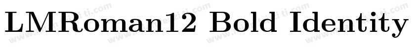 LMRoman12 Bold Identity H字体转换